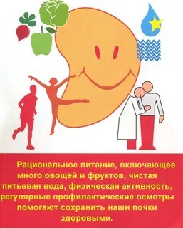 Профилактика почек и печени
