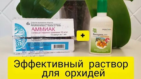 Янтарная кислота для цветения