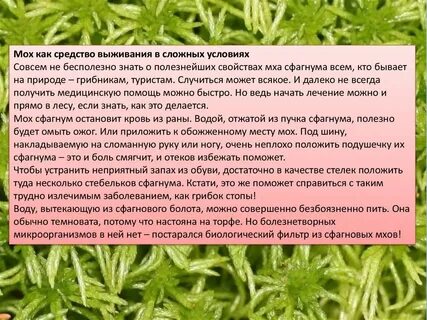 Где используется мох