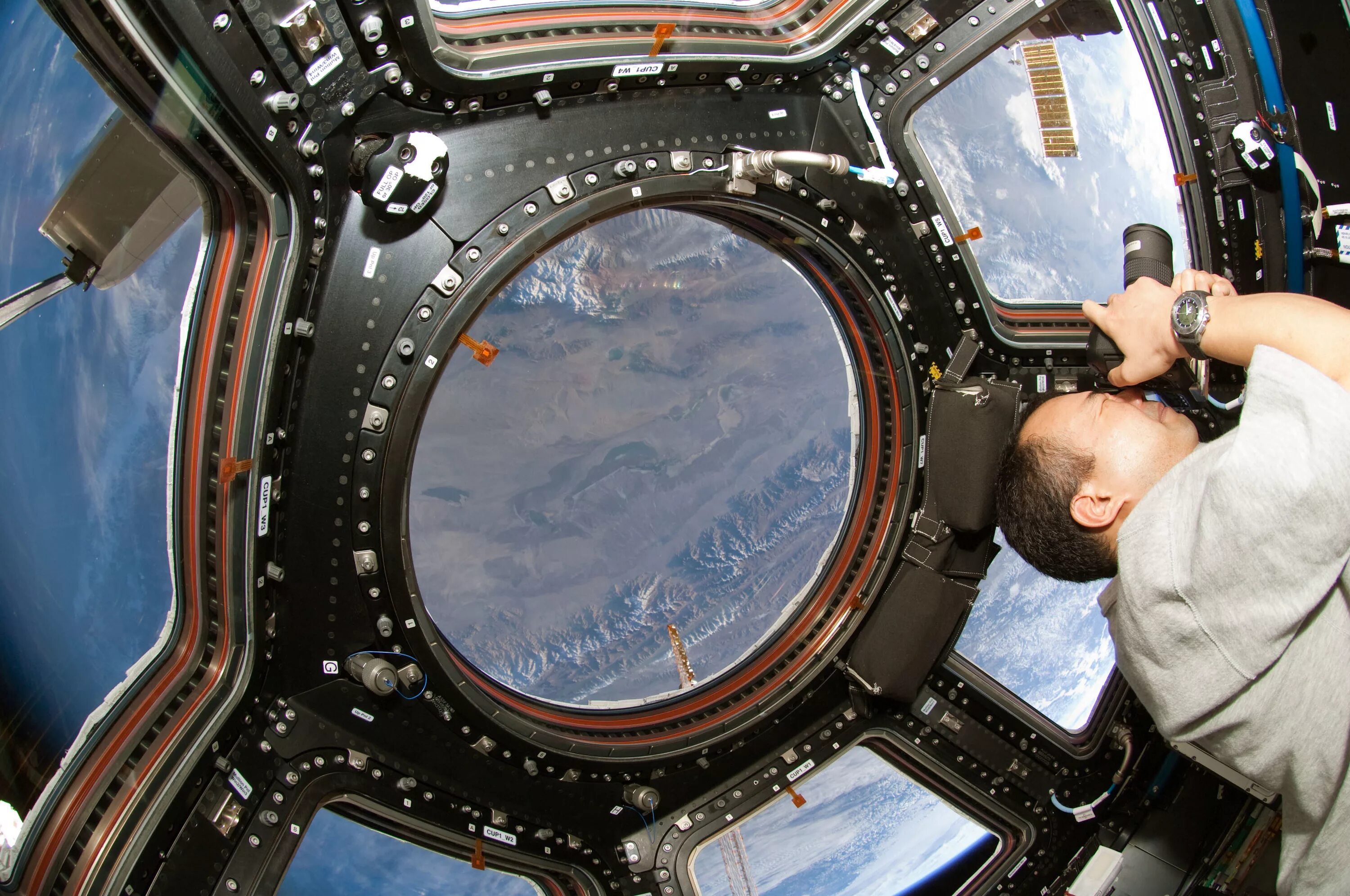 Земля в иллюминаторе картинки. Космонавт МКС иллюминатор. Купол МКС. МКС внутри иллюминатор. Модуль МКС «купол» (Cupola).