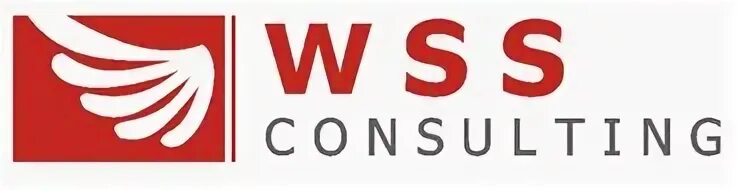 Wss docs. Логотипы wss. consulting логотип. wss программа.