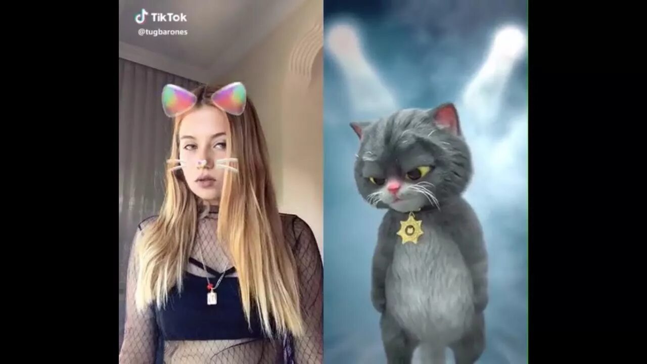 Тренд с котиками. Tik Tok кошка. Кошка из тик тока. Кошка с тиктока. Тик ток с котами.