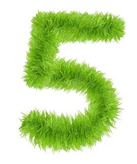Grass число