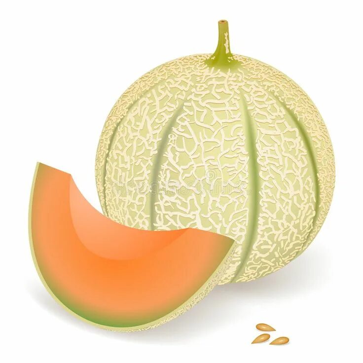 Melon vs melon
