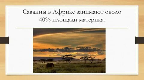 Название природной зоны саванны