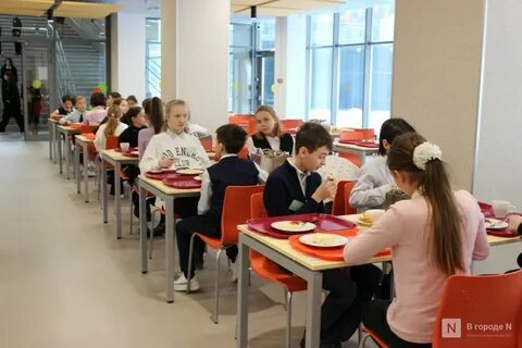 Запись в школу 800