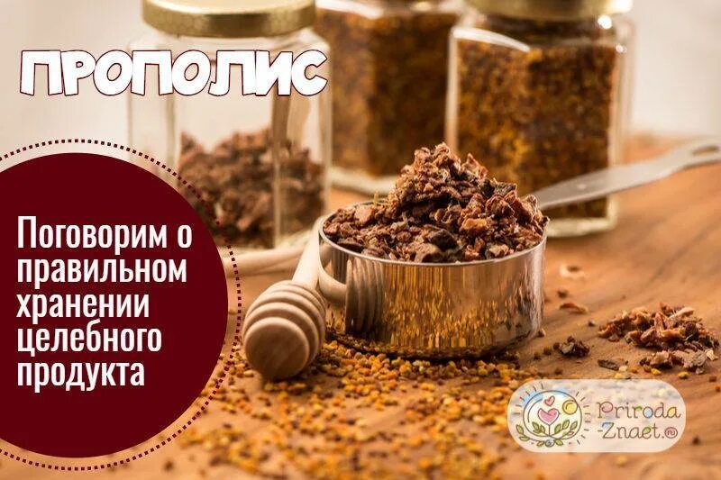 Хранение прополиса. Прополис. сбор прополиса. срок годности прополиса. срок годности пропулюса?.