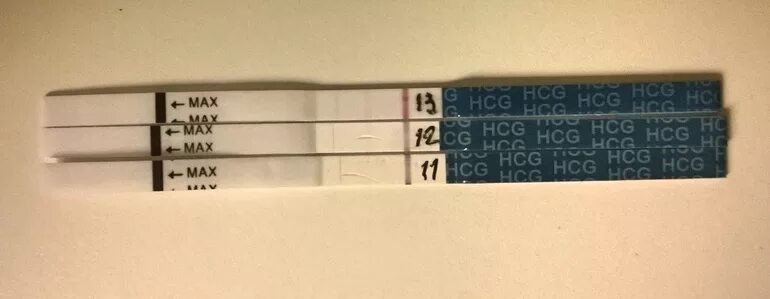 Тест 7 11 13. Эвитест 13 ДПО. Эви тест 13 ДПО. 12 ДПО эвитест призрак. 12 ДПО полоска призрак.