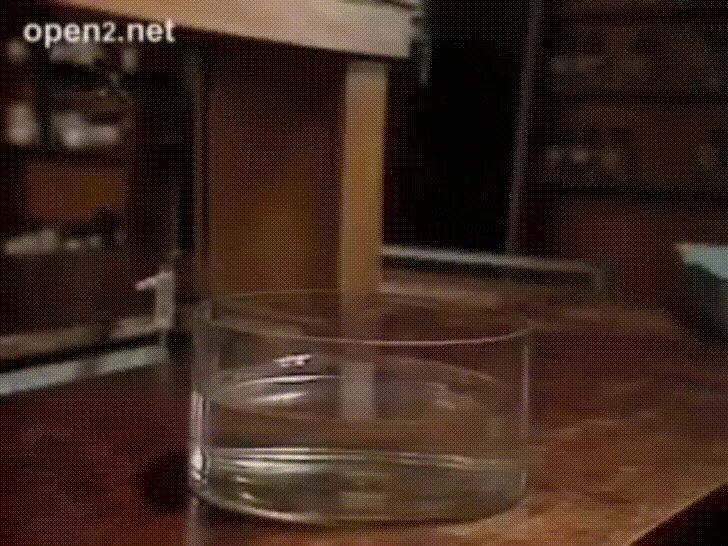 Что будет если смешать воду и натрий. Взаимодействие натрия с водой. Что будет если смешать воду и натрий. Реакция взаимодействия натрия с водой. Что будет если смешать воду и натрий.