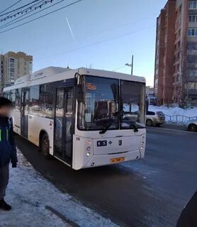 46 сыктывкар