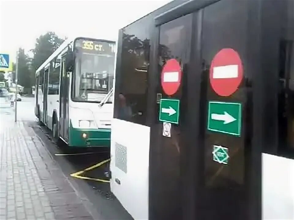 Автобус 355 петергоф. Автобус 355 петергоф