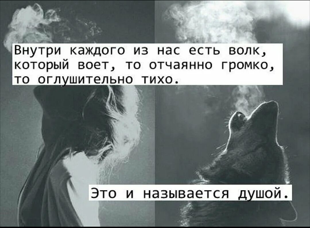 Больная душа цитаты. Цитаты о грусти и боли в душе. статусы про боль в душе. грустные цитаты волка. цитаты волка.