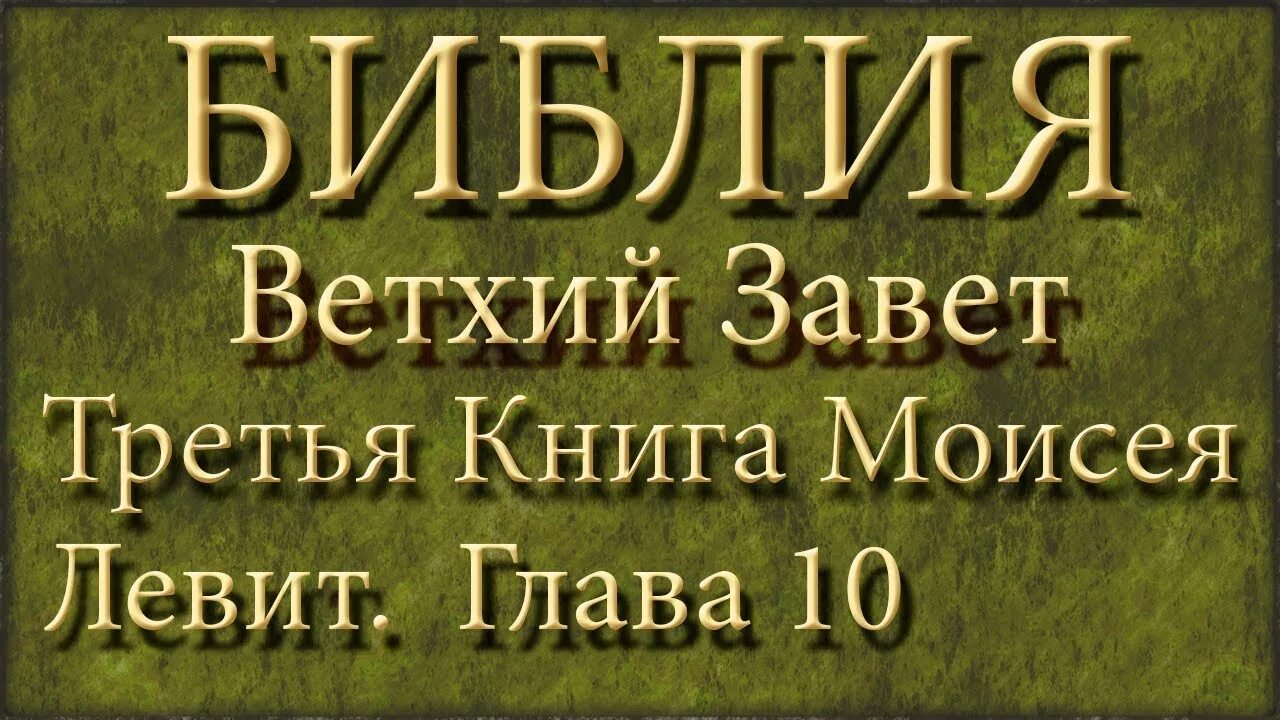 Ветхий завет книга левит. Библия Ветхий Завет книга. Книга Левит Библия. Книга Моисея Левит. Главы ветхого Завета в Библии.