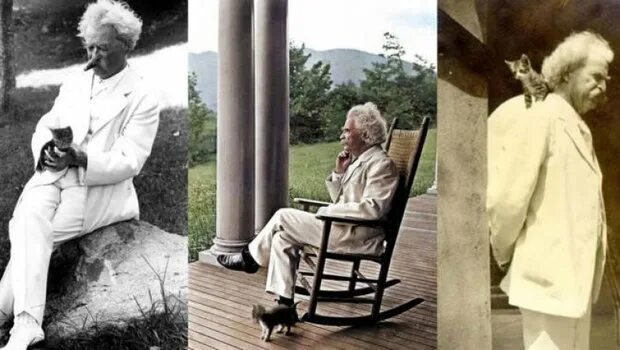 Твен кот. Твен кот. Твен кот. Твен кот. Твен кот.