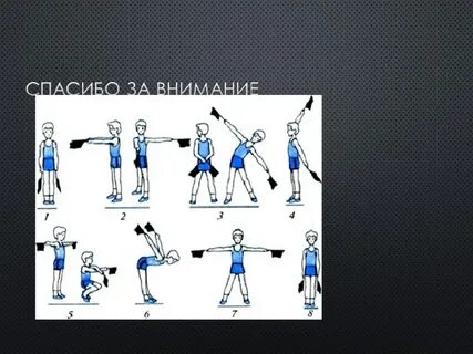 Общеразвивающие упражнения на группу мышц