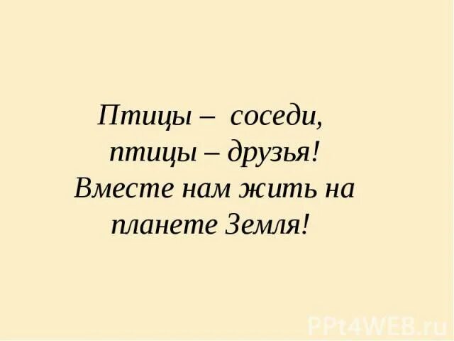 Девиз птиц. Девиз про птиц. Название команды и девиз про птиц. Команда птички девиз. Речевка про птиц.