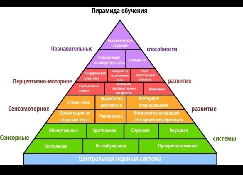 Интеграции высокого уровня. Вильямс и Шелленбергер пирамида. Пирамида развития ребенка Вильямс и Шелленбергер. Пирамида Вильямса Шелленберга по возрастам. Пирамида обучения Вильямс и Шелленбергер описание.