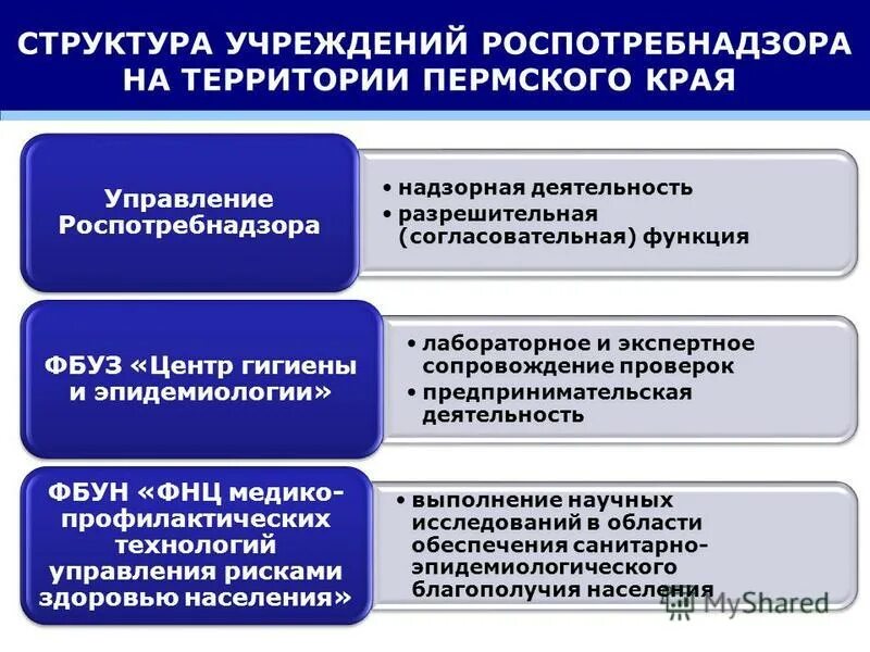 Анализ структурных изменений. Структура Роспотребнадзора. Иерархия Роспотребнадзора. Учреждения Роспотребнадзора.