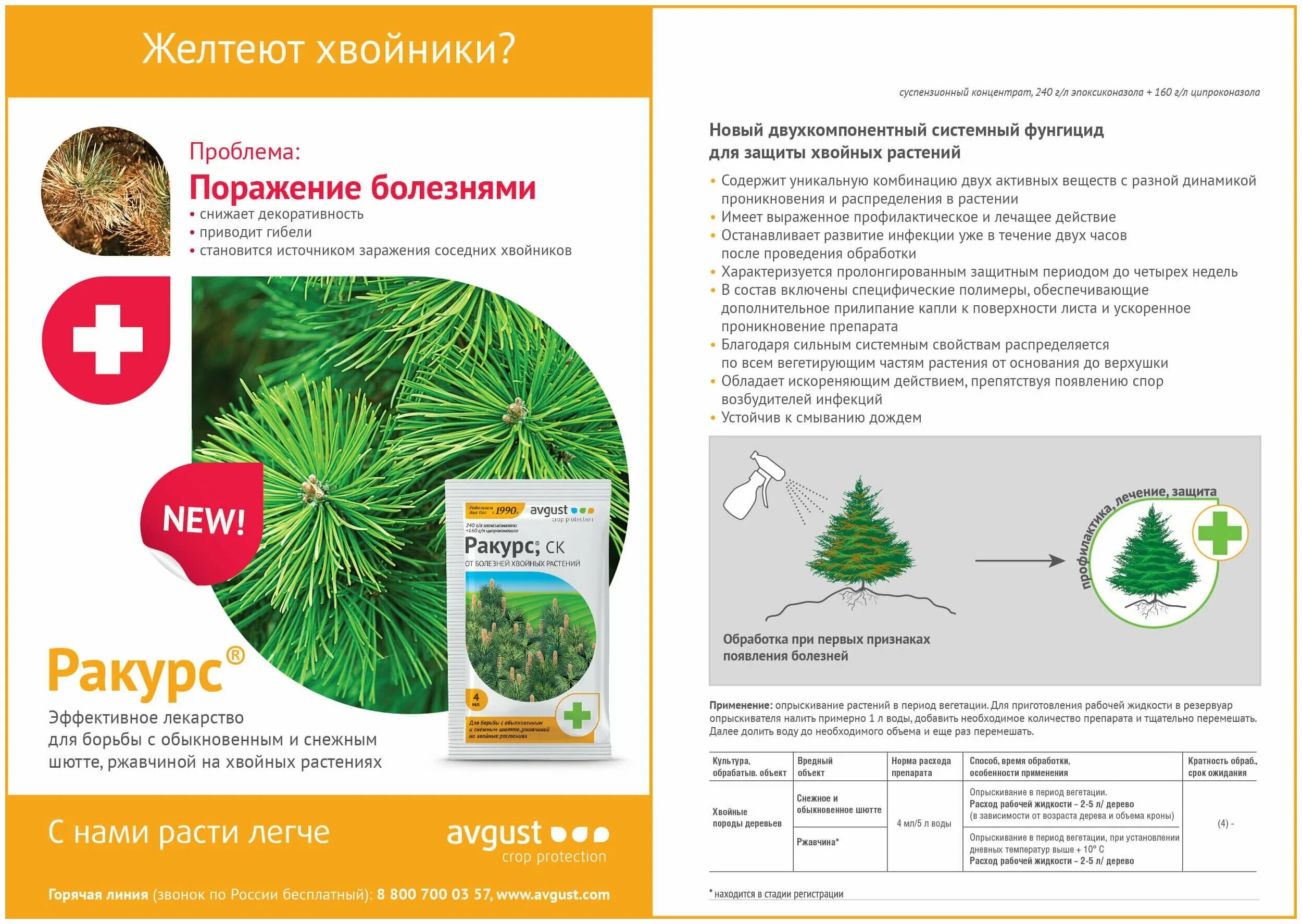 Обработка хвойных от болезней. Ракурс от болезней хвойных растений 4мл. ракурс, для хвойных, 48 мл. ракурс препарат для хвойных 480мл. ракурс 4 мл (от болезней хвойных) 200.