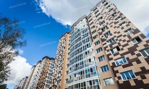 Детская мелодия леса