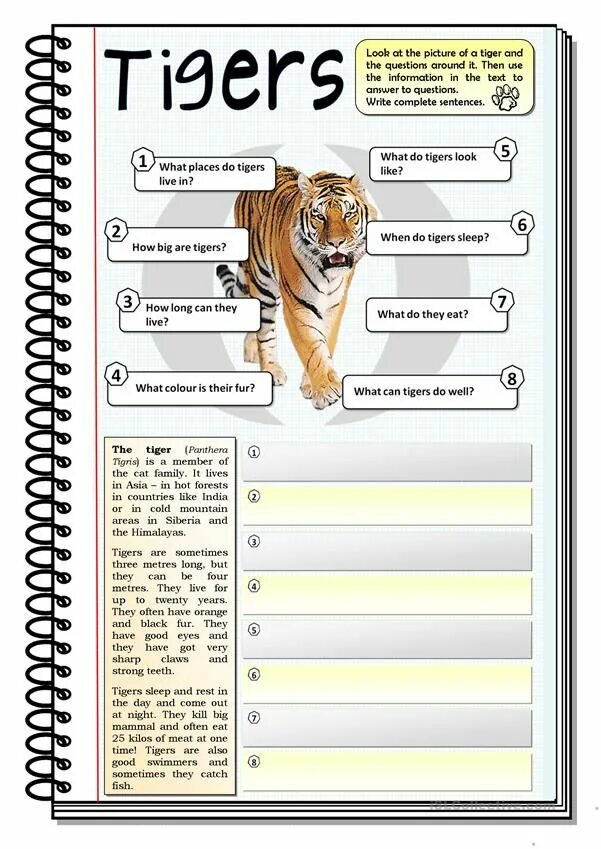 Portfolio make a fact file