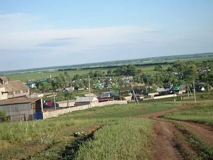 Урман асты
