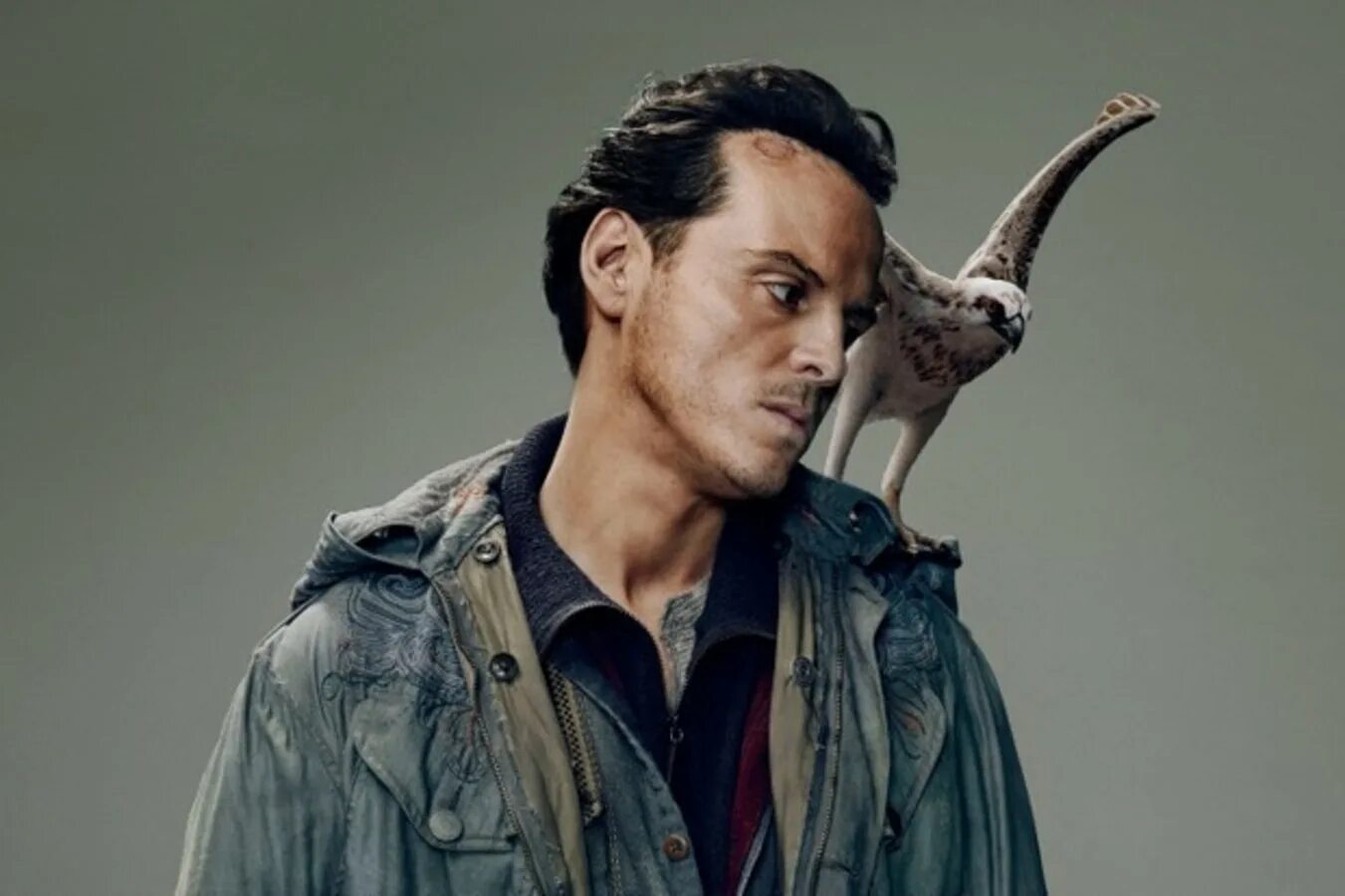 Dark andrew. His dark materials эндрю скотт. эндрю скотт темные начала. эндрю скотт актер.