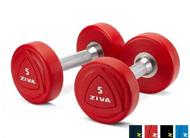 Гантели челябинск. Гантели Urethane Dumbbell 10 kg. Набор штанг Ziva ez. Штанга Ziva ZVO-bspu-1102-Rd. Urethane Dumbell 10kg гантели 10кг.