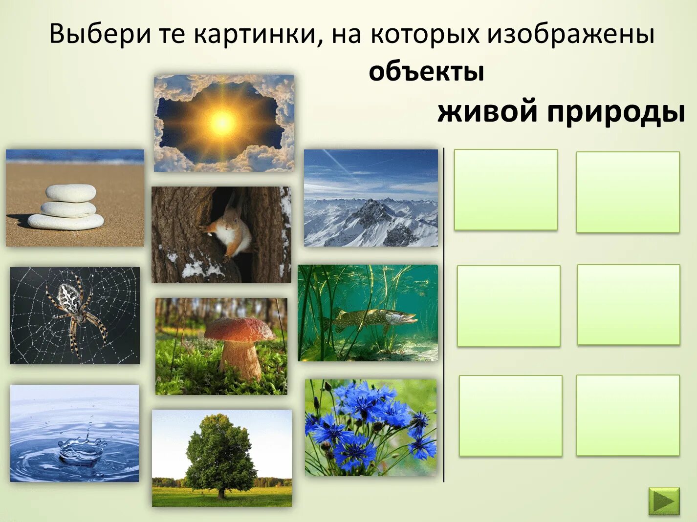 Картинки неживой природы