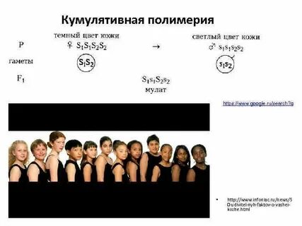Расщепление при некумулятивной полимерии