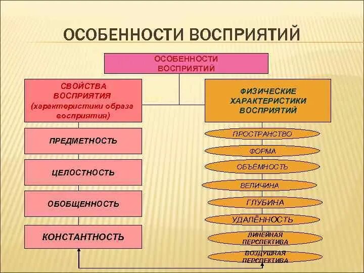 Особенности восприятия. Психологические особенности восприятия. Особенности восприятия в психологии. Особенности человеческого восприятия.