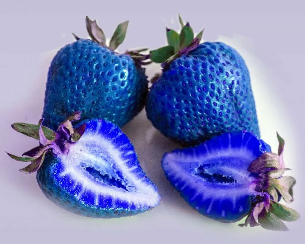 Необычные фрукты. Синяя клубника. Синий фрукт. Необычные ягоды.
