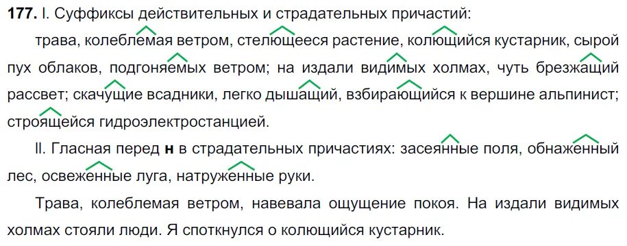 Подгоняемый ветром какой оборот. Трава колеблемая ветром. Трава колеблемая ветром стелющееся. Трава колеблемая ветром стелющееся растение. Разделите причастия и отглагольные прилагательные на группы.