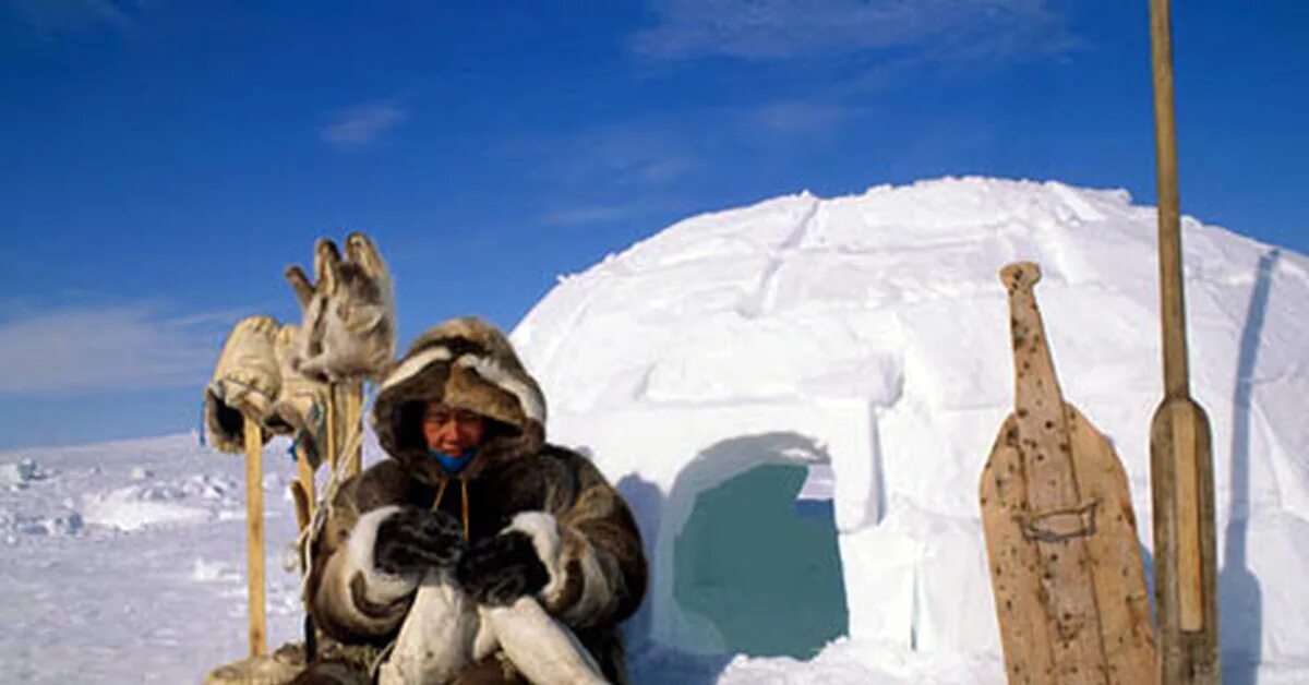 Эскимосы в Арктике. Инуиты — Канадские Эскимосы. Инуиты жилища. Иглу эскимосов. Заменяет эскимос коня 6 букв