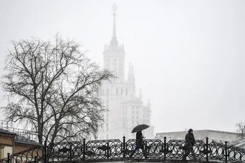 Белый московская погода
