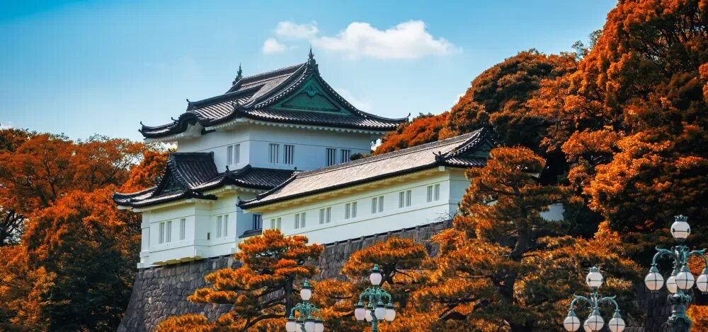 Императорский дворец токио фото Hoàng cung Tokyo Điểm check-in hàng đầu tại Nhật Bản