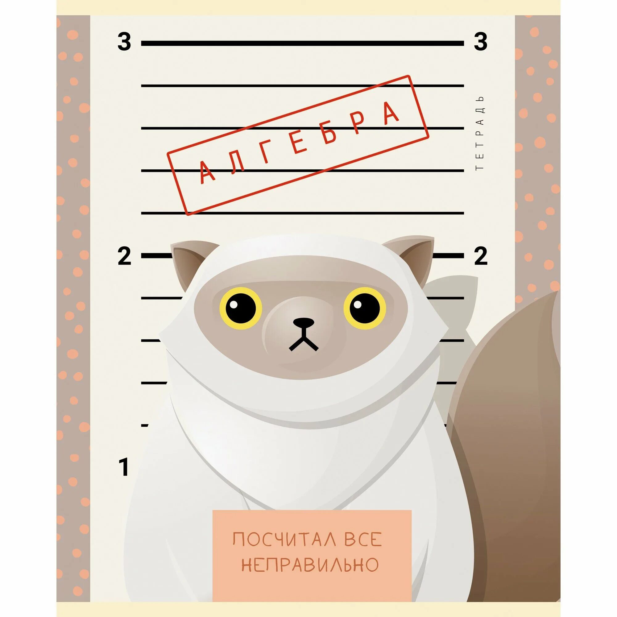 Прикольные обложки на тетради. Прикольные тетради с надписями. Забавные тетради. Прикольные тетради. Прикольные тетради.