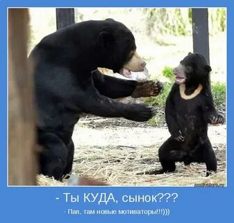Сынок ты где