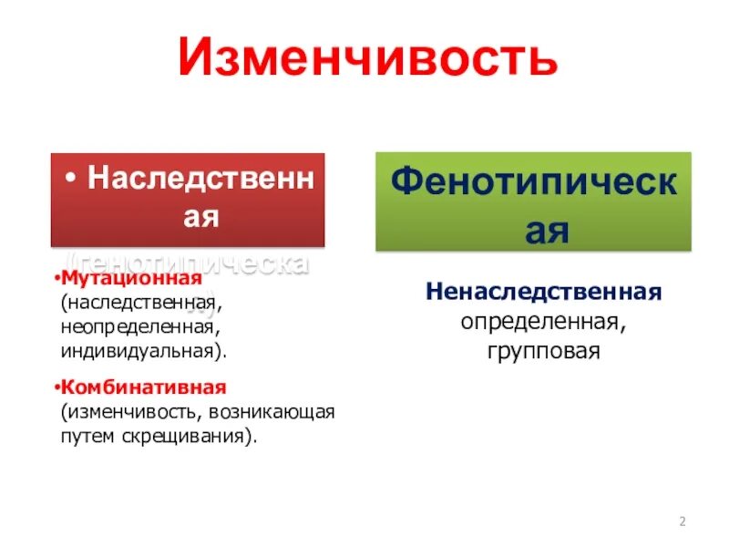 Презентации по биологии "Анатомия"