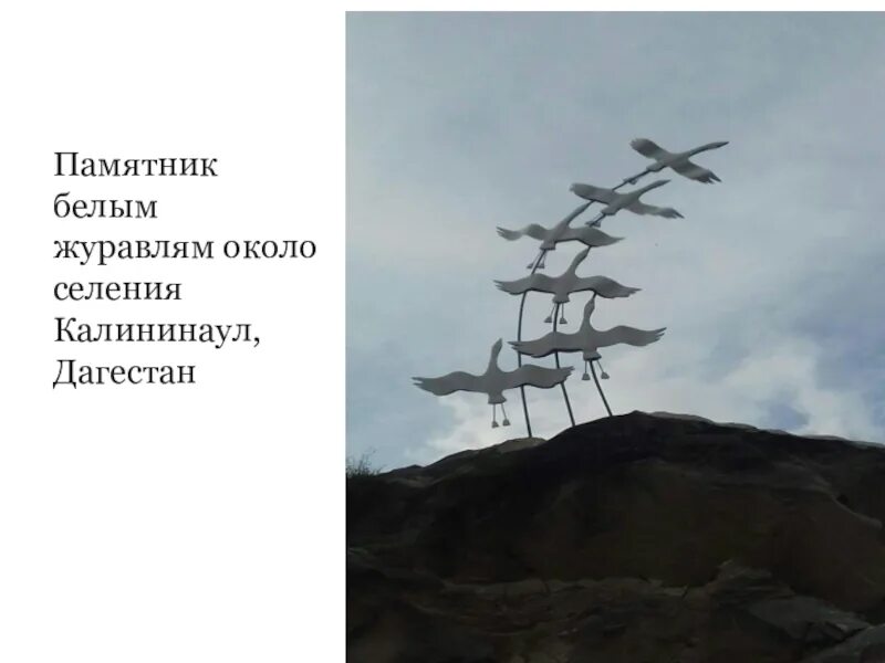 Песня журавли памяти крокус сити. Памятник белым журавлям в Дагестане. Памятник Журавли в Гунибе. Памятник белые Журавли в Гунибе. Памятник журавлям в Дагестане в Гунибе.