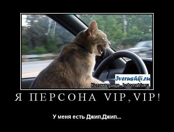 я персона вип вип у меня есть джип. машина вип вип у меня есть джип джип. я персона вип. вип вип у меня есть джип. вип вип у меня есть джип.