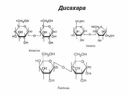 Лактоза класс соединений
