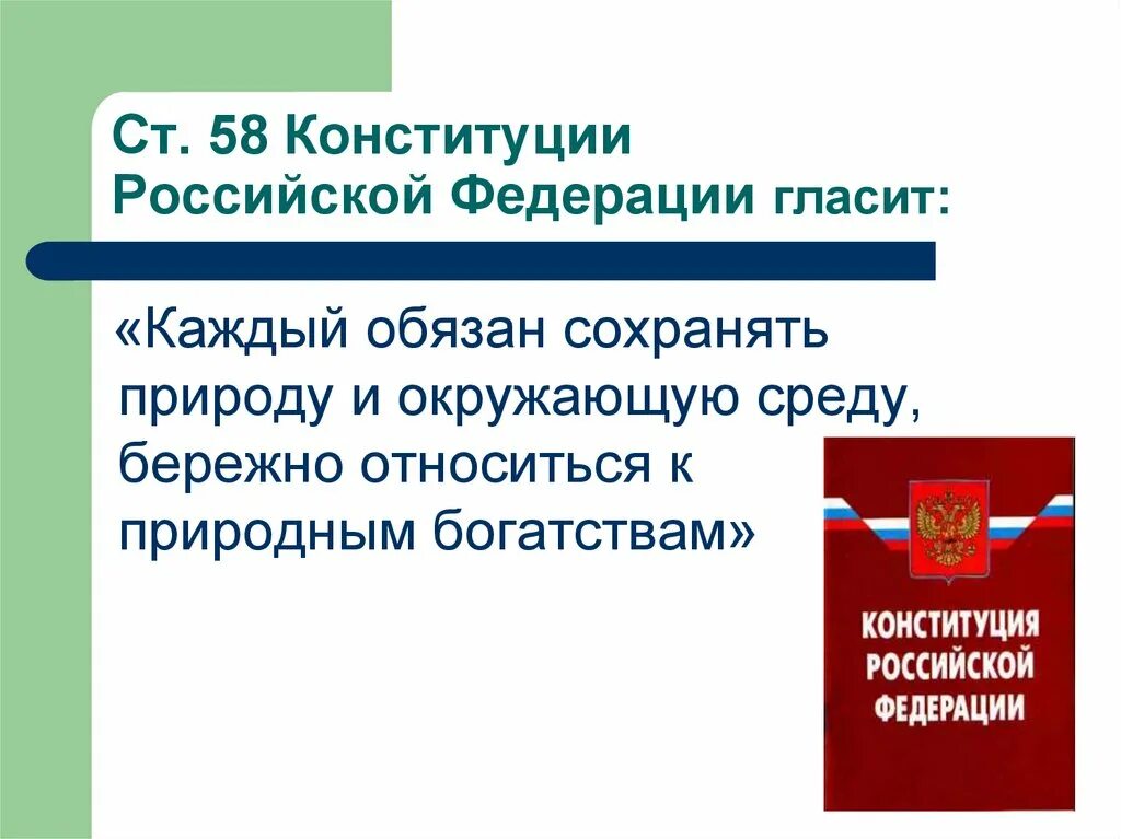 Формы защиты конституции рф. Статья 58 каждый обязан сохранять природу. Ст 58 Конституции. Статья Конституции об охране природы. Статья 58 Конституции РФ.