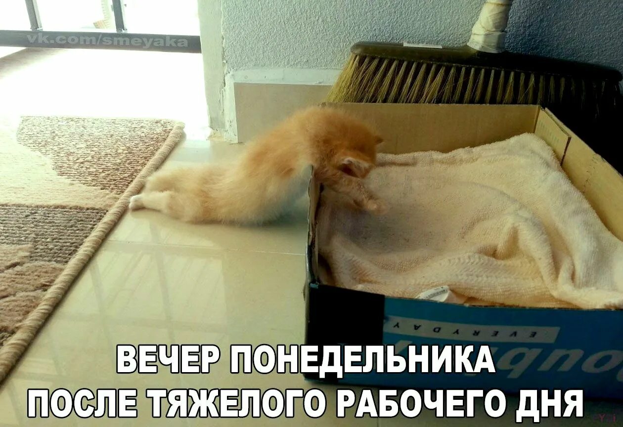 В конец устал. В конец устал