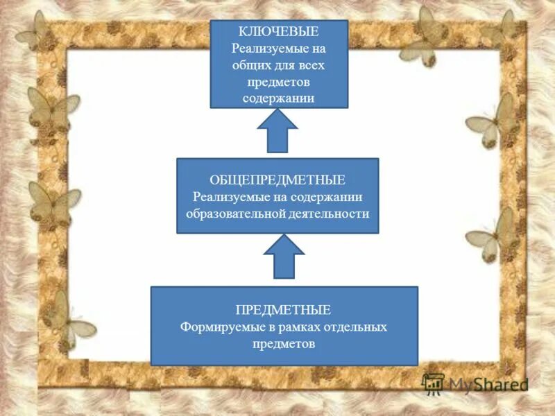 В рамках отдельного общества