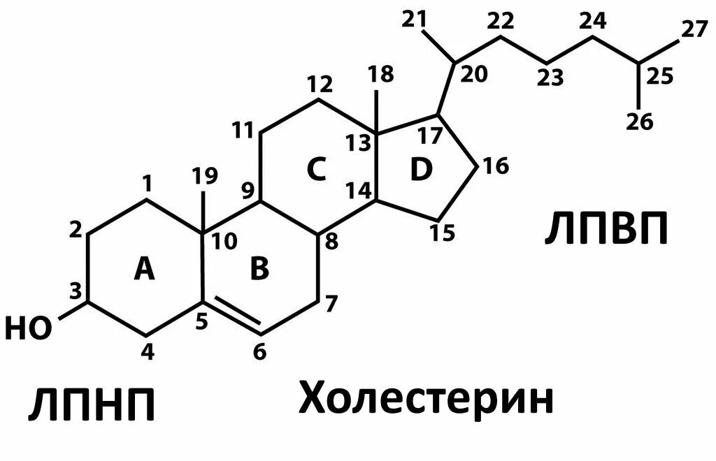 Формула холестерола. Формула холестерола биохимия. Холестерин строение молекулы. Холестерол строение биохимия. Холестерин химическое строение.