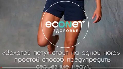 Золотой петух отзывы