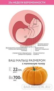 25 недель какой вес