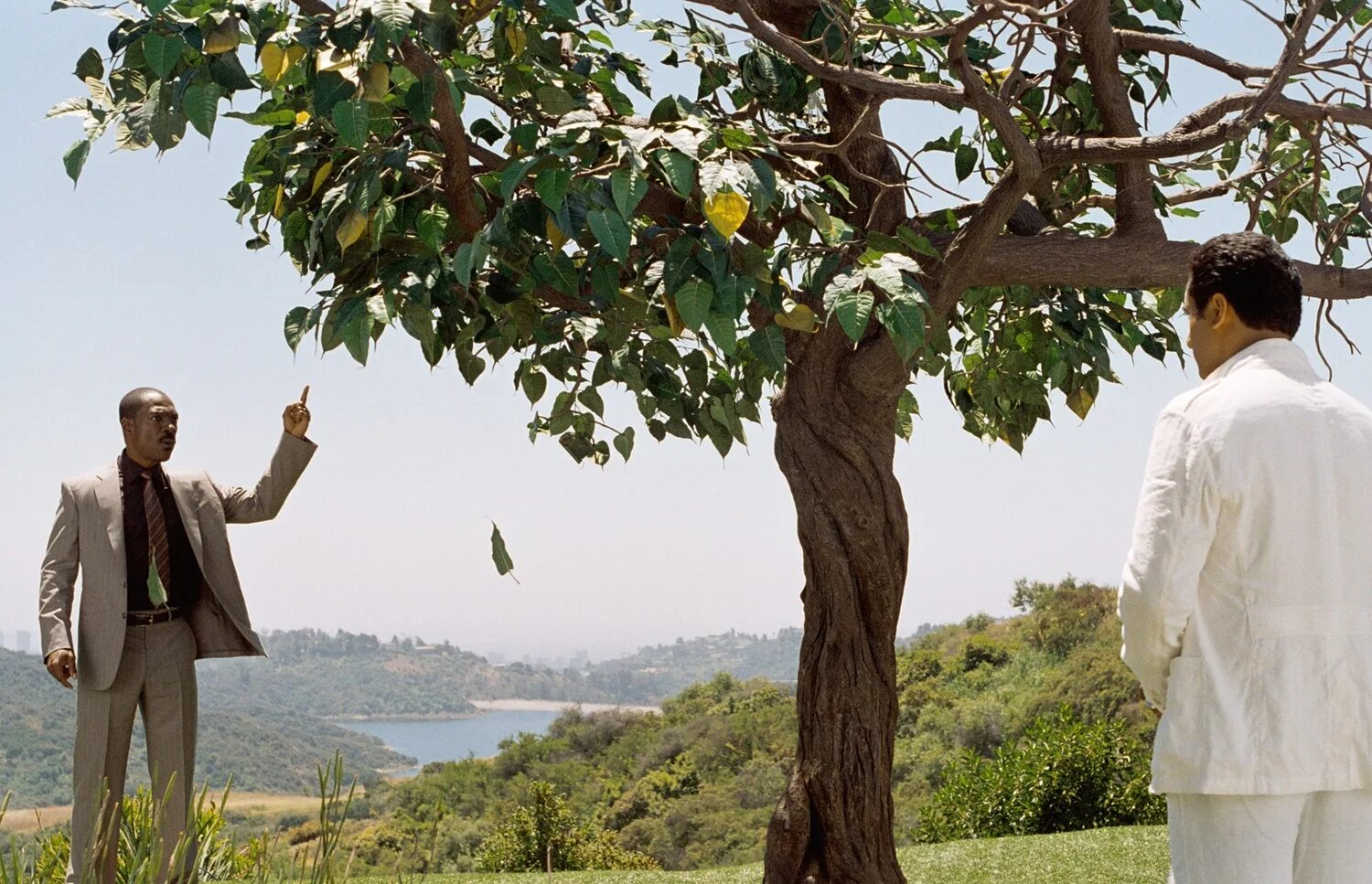 эдди мерфи 2000. 1000 первых слов детям. эдди мерфи. 1000 первых слов. 1000 английских слов.