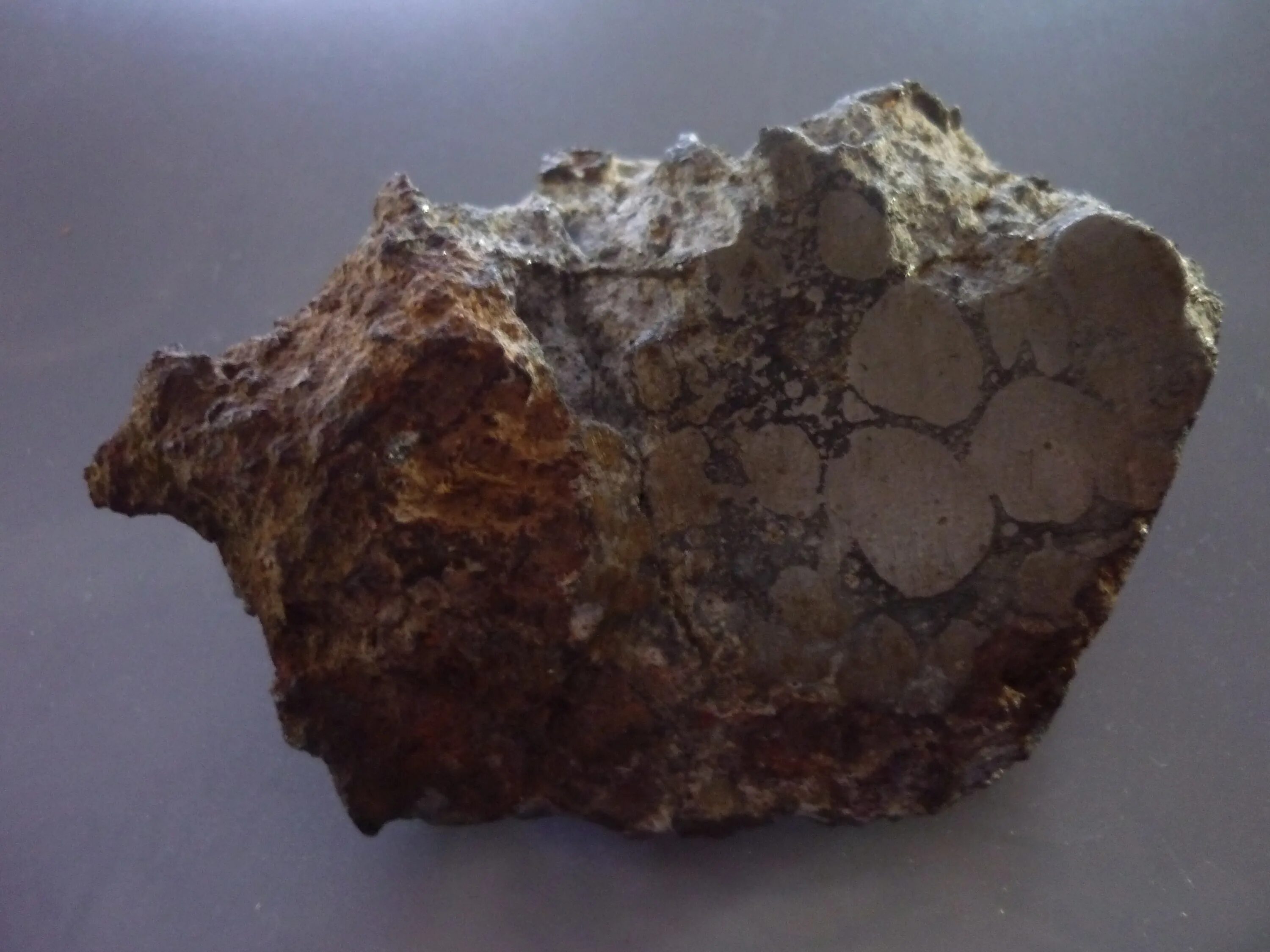 Октаэдрит метеорит. Метеорит руда. Тиссинит метеорит. Метеорит руда. Метеорит гексаэдрит.